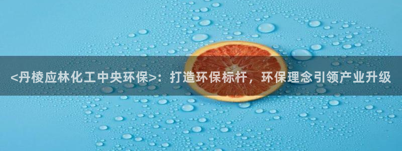 亿万先生网页版登录：<丹棱应林化工中央环保>：打造环保标杆，环保理念引领产业升级