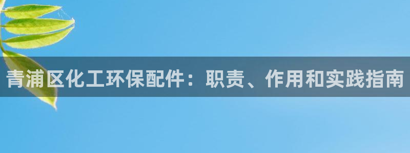 亿万先生网址改了吗：青浦区化工环保配件：职责、作用和实践指南