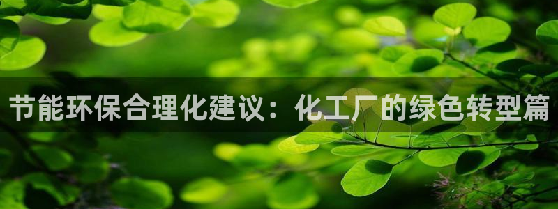 亿万官网字幕：节能环保合理化建议：化工厂的绿色转型篇