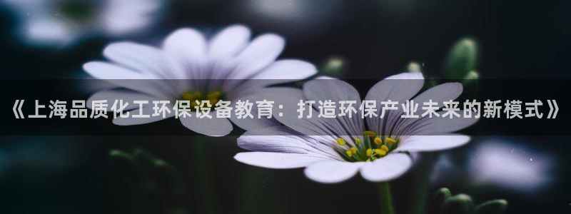 亿万先生客户端官网登录入口：《上海品质化工环保设备教育：打造环保产业未来的新模式》