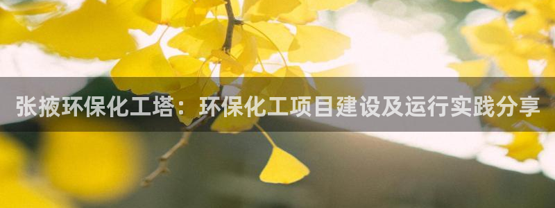 亿万先生网站下载：张掖环保化工塔：环保化工项目建设及运行实践分享