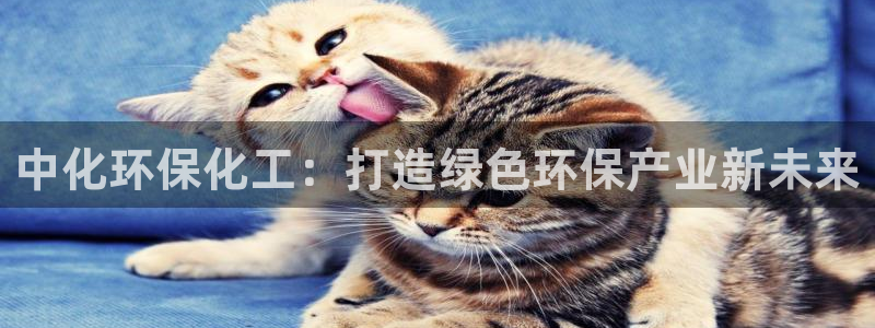亿万app下载：中化环保化工：打造绿色环保产业新未来