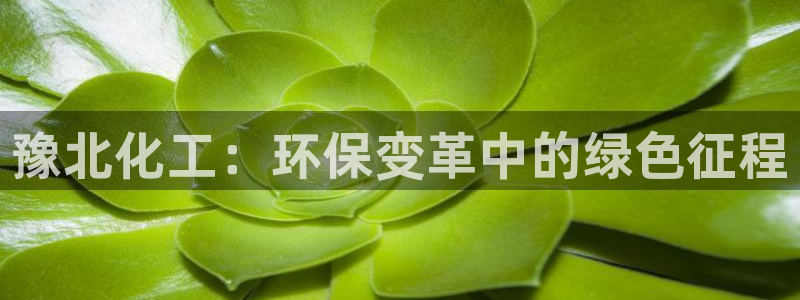 亿万网络科技有限公司：豫北化工：环保变革中的绿色征程