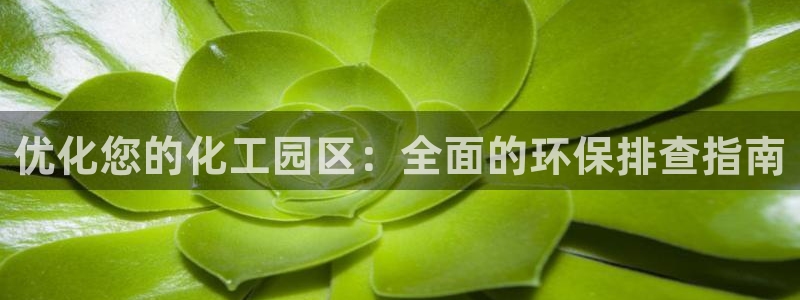 亿万手游平台官网入口：优化您的化工园区：全面的环保排查指南