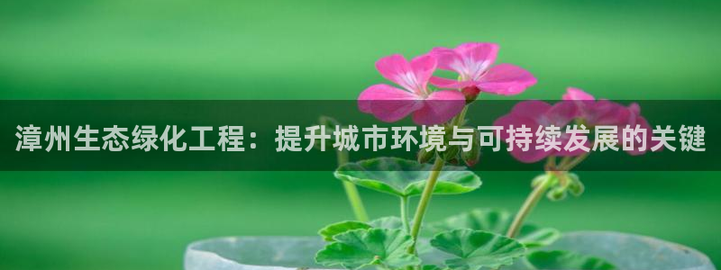 亿万剧情详解：漳州生态绿化工程：提升城市环境与可持续发展的关键