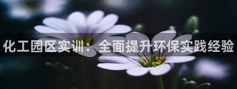 亿万先生客户端下载：化工园区实训：全面提升环保实践经验