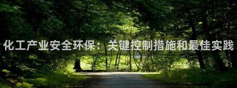 亿万同人字幕分享jogoduplo：化工产业安全环保：关键控制措施和最佳实践