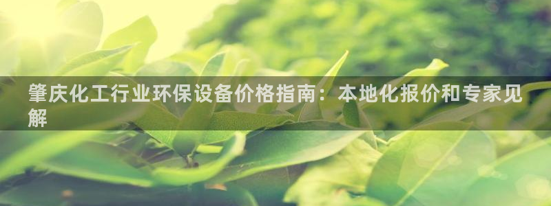 亿万先生换网址了吗：肇庆化工行业环保设备价格指南：本地化报价和专家见
解