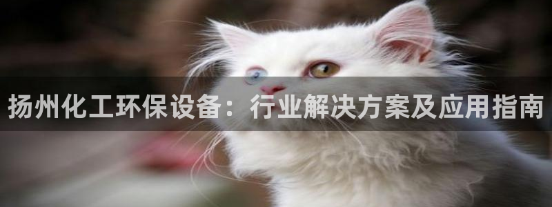 亿万国际游戏官网：扬州化工环保设备：行业解决方案及应用指南
