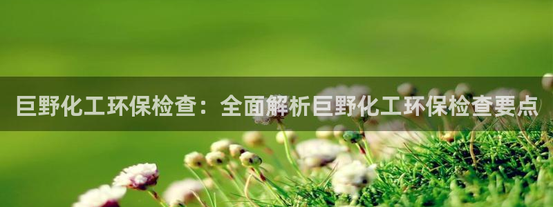 mr003亿万先生：巨野化工环保检查：全面解析巨野化工环保检查要点