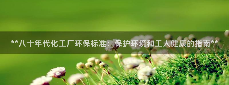亿万官网字幕：**八十年代化工厂环保标准：保护环境和工人健康的指南**