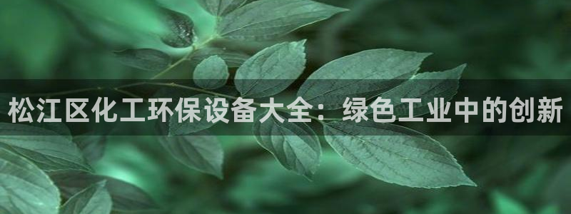 mr8001亿万先生：松江区化工环保设备大全：绿色工业中的创新
