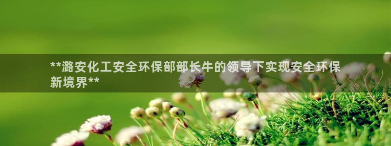 亿万先生app：**潞安化工安全环保部部长牛的领导下实现安全环保
新境界**