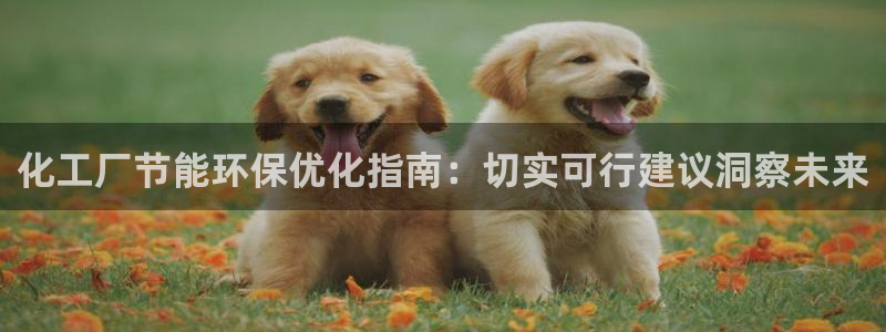 亿万网友在线实时为你解答：化工厂节能环保优化指南：切实可行建议洞察未来