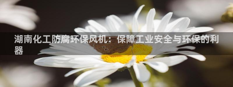 mr001亿万先生：湖南化工防腐环保风机：保障工业安全与环保的利
器