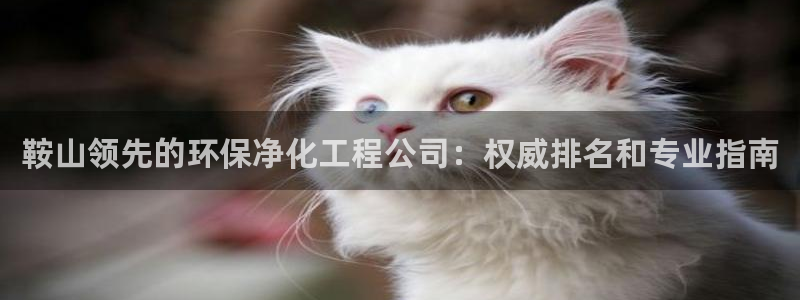 亿万先生官方客服
