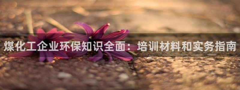 亿万先生客服联系方式是什么：煤化工企业环保知识全面：培训材料和实务指南