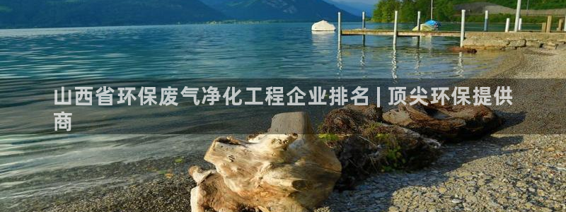 亿万先生手机网页：山西省环保废气净化工程企业排名 | 顶尖环保提供
商