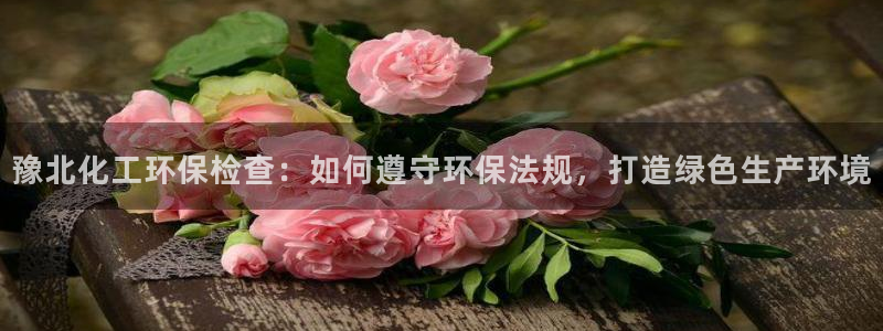 亿万先生mr01官网 - 亿万先生手机版入：豫北化工环保检查：如何遵守环保法规，打造绿色生产环境