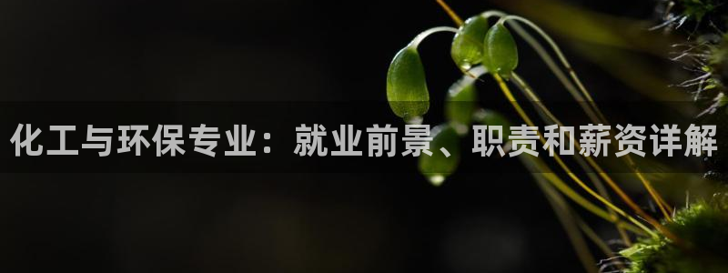 亿万先生手机版：化工与环保专业：就业前景、职责和薪资详解