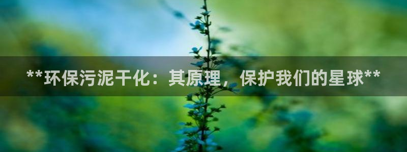 亿万问答：**环保污泥干化：其原理，保护我们的星球**