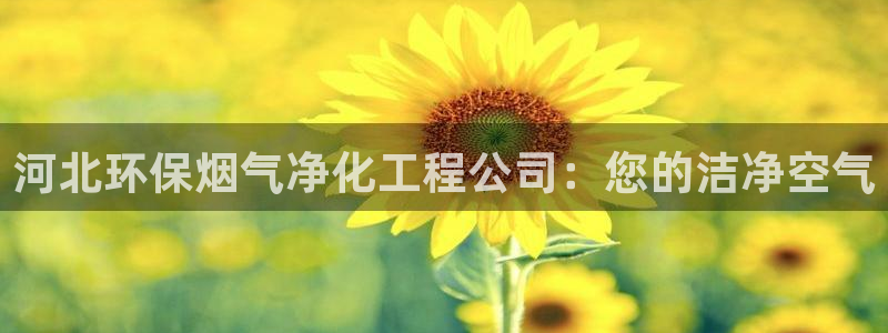 亿万第一集：河北环保烟气净化工程公司：您的洁净空气