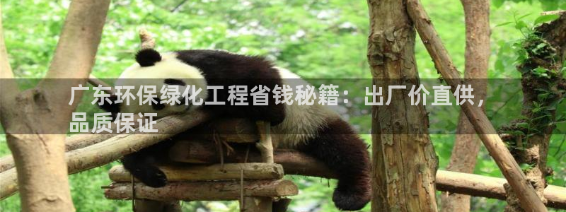 亿万先生客服联系电话：广东环保绿化工程省钱秘籍：出厂价直供，
品质保证