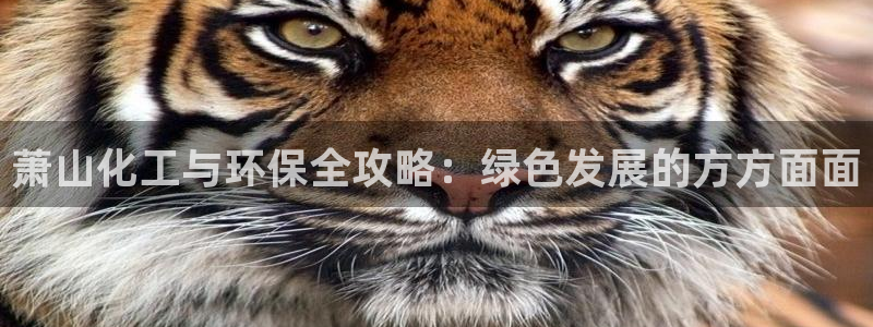 亿万讲了什么：萧山化工与环保全攻略：绿色发展的方方面面