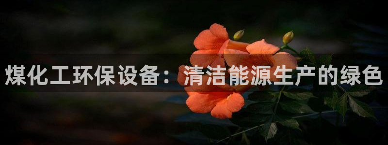亿万先生客户端官网首页：煤化工环保设备：清洁能源生产的绿色