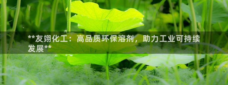 亿万先生m007：**友翊化工：高品质环保溶剂，助力工业可持续
发展**