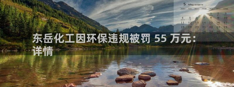 电视剧亿万：东岳化工因环保违规被罚 55 万元：
详情