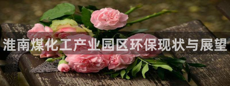 亿万先生客服联系电话：淮南煤化工产业园区环保现状与展望