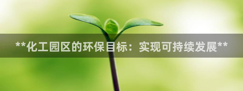 亿万钱包app下载：**化工园区的环保目标：实现可持续发展**