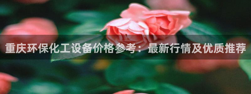 亿万先生客服联系方式是什么：重庆环保化工设备价格参考：最新行情及优质推荐