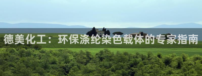 亿万乐购生活超市：德美化工：环保涤纶染色载体的专家指南