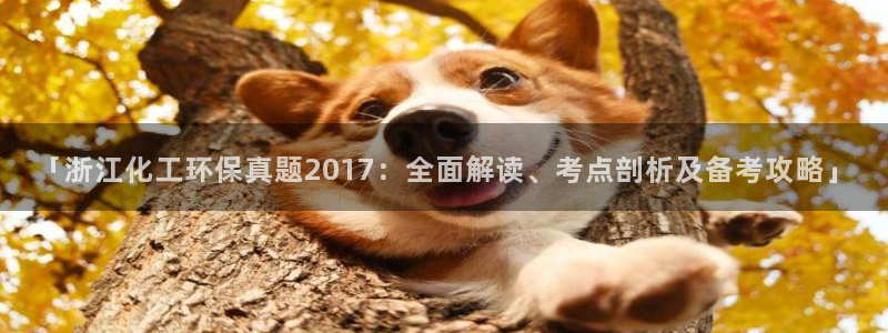 亿万先生网站：「浙江化工环保真题2017：全面解读、考点剖析及备考攻略」