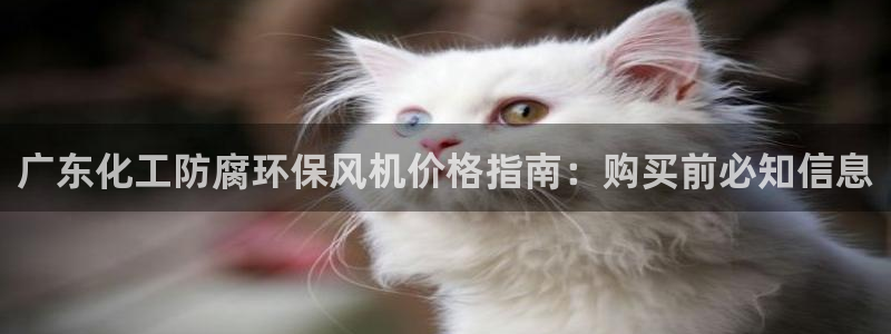 亿万先生网红：广东化工防腐环保风机价格指南：购买前必知信息