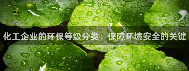 亿万先生合并最新消息：化工企业的环保等级分类：保障环境安全的关键