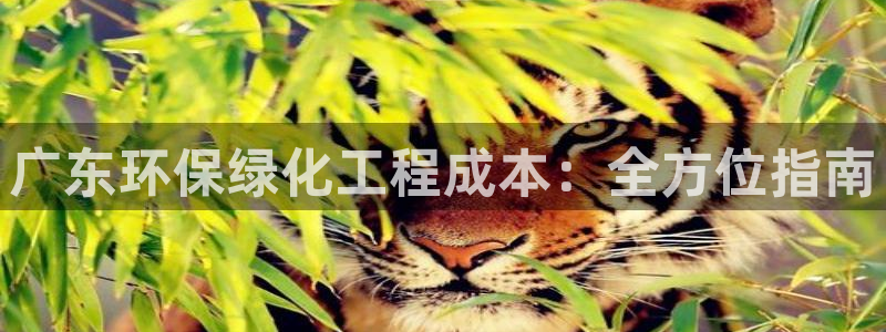 亿万先生客户端下载安装：广东环保绿化工程成本：全方位指南