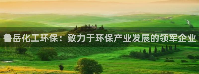 官方网站下载亿万人生：鲁岳化工环保：致力于环保产业发展的领军企业