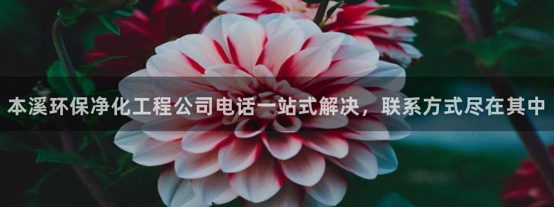 亿万先生客服联系方式：本溪环保净化工程公司电话一站式解决，联系方式尽在其中