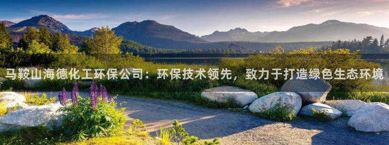 亿万官网字幕组官网下载：马鞍山海德化工环保公司：环保技术领先，致力于打造绿色生态环境