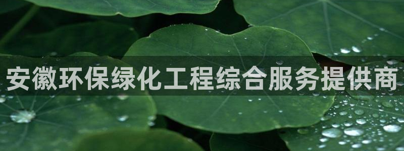 亿万首富手游兑换码：安徽环保绿化工程综合服务提供商