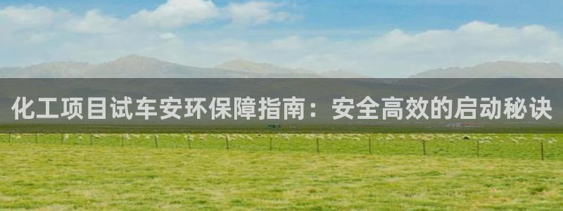 亿万先生网红：化工项目试车安环保障指南：安全高效的启动秘诀