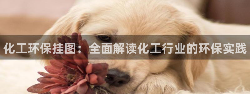 亿万先生合并：化工环保挂图：全面解读化工行业的环保实践