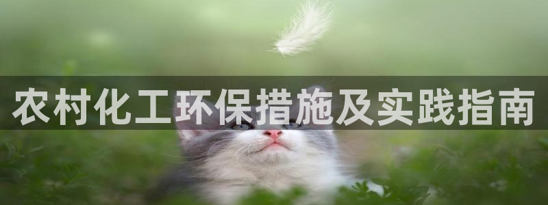 亿万先生客服联系：农村化工环保措施及实践指南