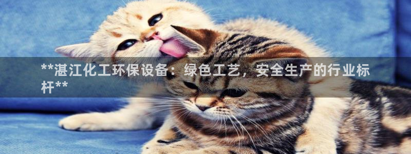 亿万手游官网网址：**湛江化工环保设备：绿色工艺，安全生产的行业标
杆**
