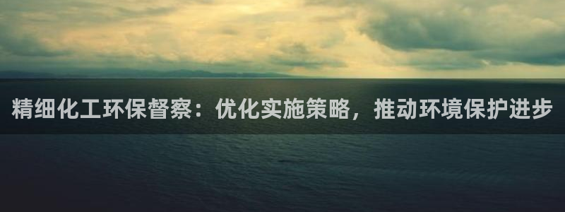 亿万先生手机版入：精细化工环保督察：优化实施策略，推动环境保护进步