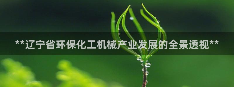 亿万先生网页版下载：**辽宁省环保化工机械产业发展的全景透视**