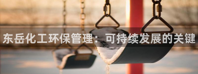 电影 亿万：东岳化工环保管理：可持续发展的关键